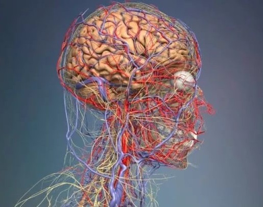 Сильно болит голова при беременности что