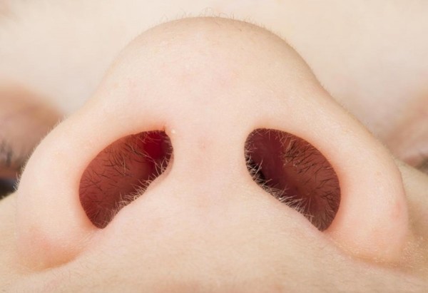 Êàê îõëàæäåíèå íîã ñâÿçàíî ñ ïðîñòóäîé Livejournal, Ñòàòüÿ, Ïðîñòóäà, Ïåðåîõëàæëåíèå, Äëèííîïîñò