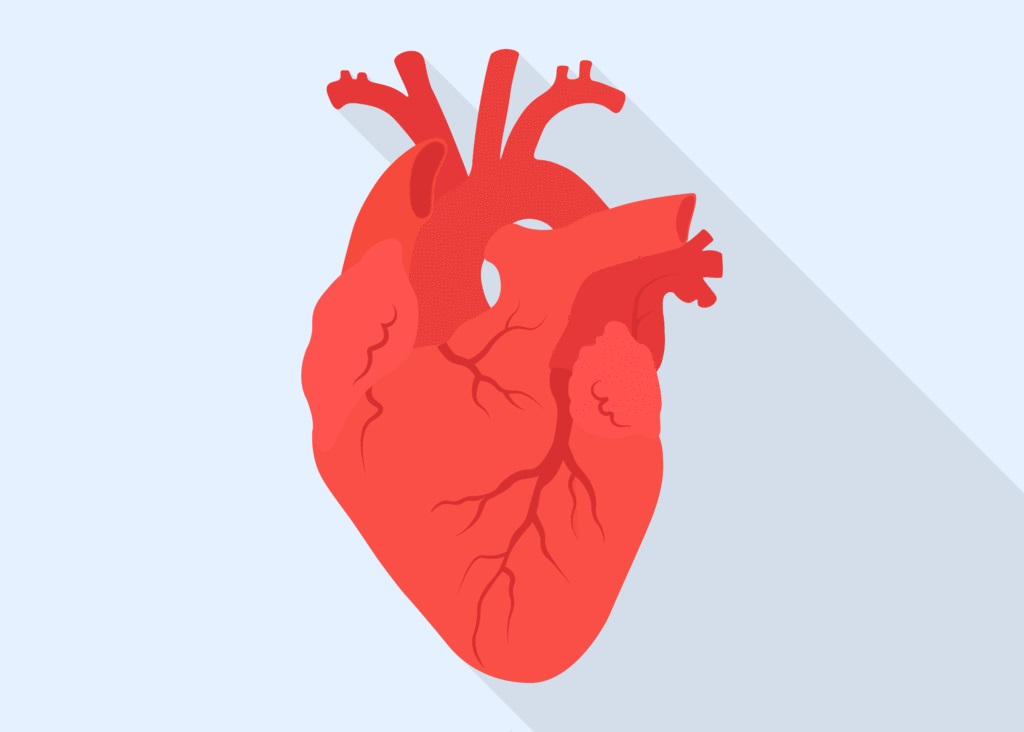 Боль левом боку