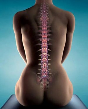 Делала зарядку болит спина