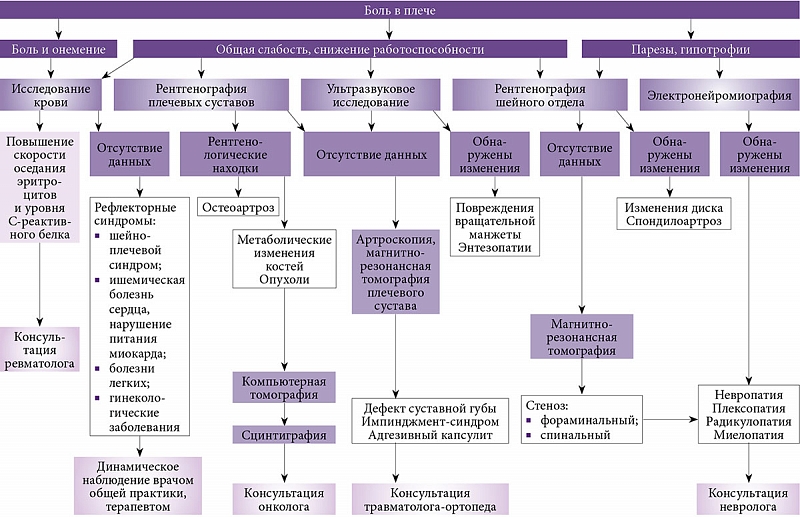 Диагностика боли в плече Диагностика боли в плече