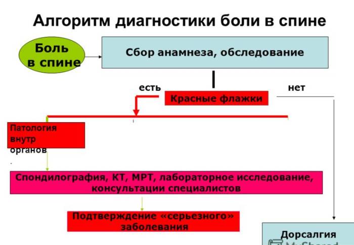 Почему болит спина в области поясницы и отдает в ногу