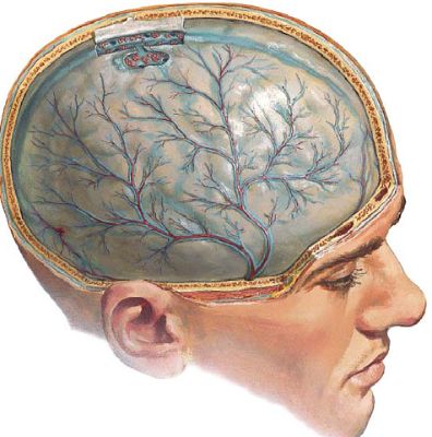 Болит внизу спина температура