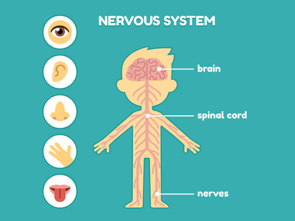 После остеопата болит спина