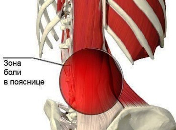 на второй неделе беременности болит спина и
