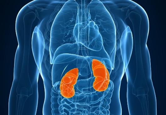 Спина болит каждое утро